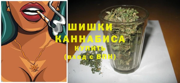 ГАЛЛЮЦИНОГЕННЫЕ ГРИБЫ Вязьма