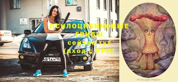 Альфа ПВП Вяземский