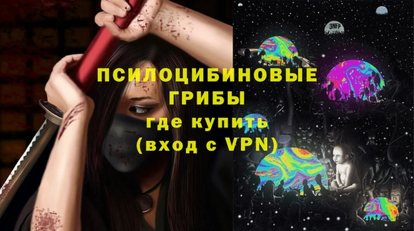 Альфа ПВП Вяземский