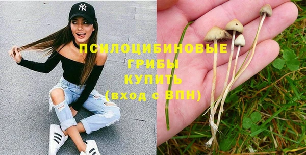 ГАЛЛЮЦИНОГЕННЫЕ ГРИБЫ Вязьма