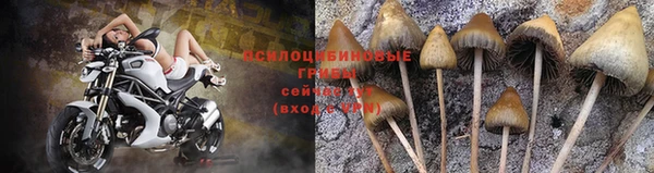 Альфа ПВП Вяземский