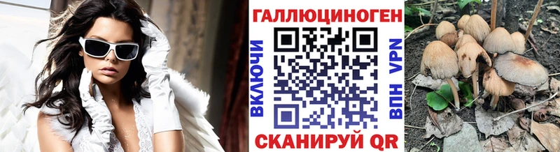 Галлюциногенные грибы Cubensis Купить где Лермонтов